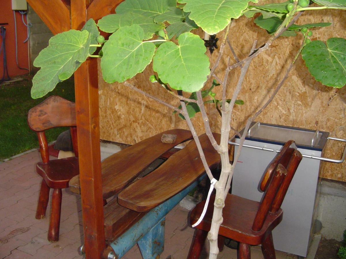 Karavan Štúrovo 外观 照片